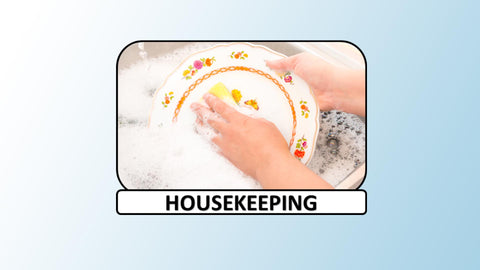 Digital Video Download - Homemaker Collection - Housekeeping