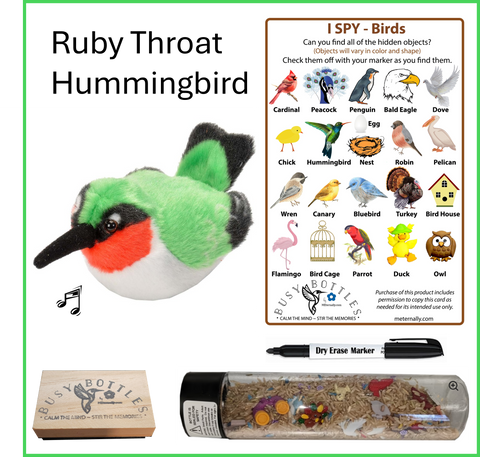 Busy Bottle Mini Kit - Birds Busy Bottle & Audubon Ruby Throat Hummingbird with Sound