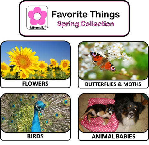 Digital Video Download - Spring Collection - 5 Video Set