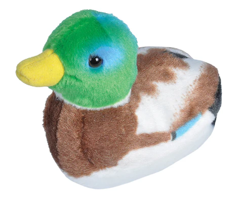 Audubon Mallard Duck with Sound