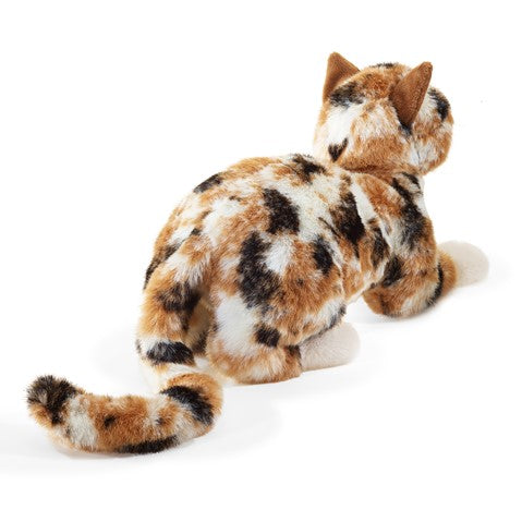 Calico Cat