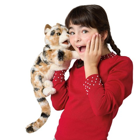 Calico Cat