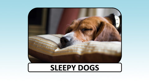 Digital Video Download - Dog Collection - Sleepy Dogs