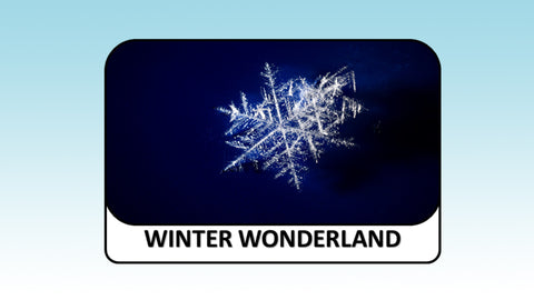 Digital Video Download - Winter Collection - Winter Wonderland