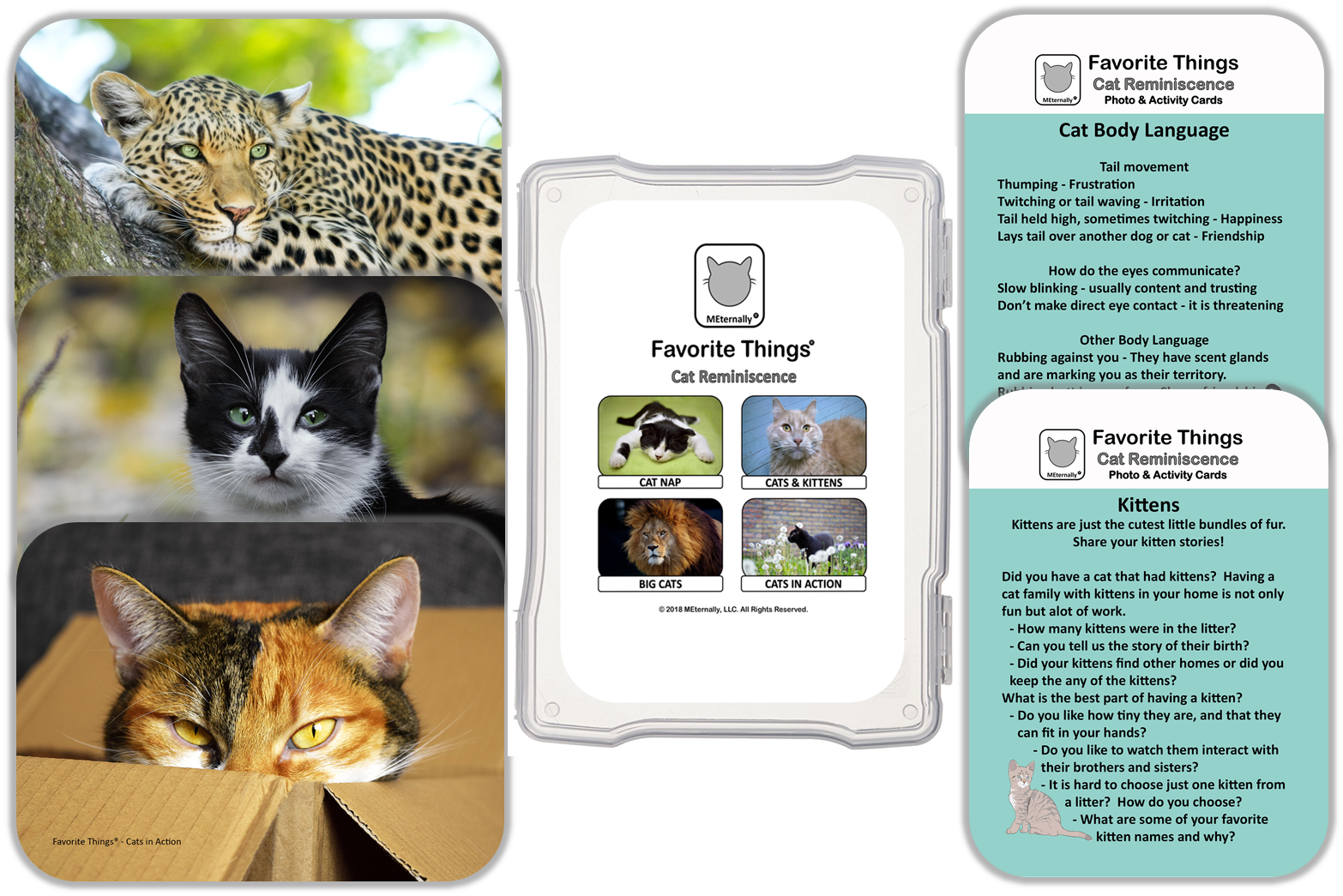 Reminiscence Therapy - Cat Collection Photo and Activity Cards