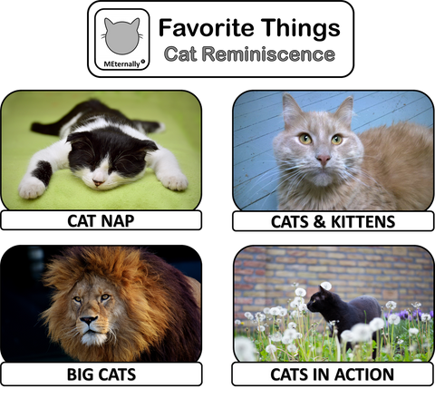 Library/Facility Zip Pack - Reminiscence Therapy - Cats DVD & Photo/Activity Cards Kit