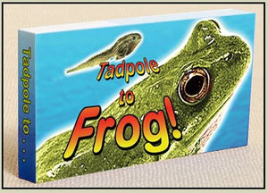 Tadpole to Frog Flipbook