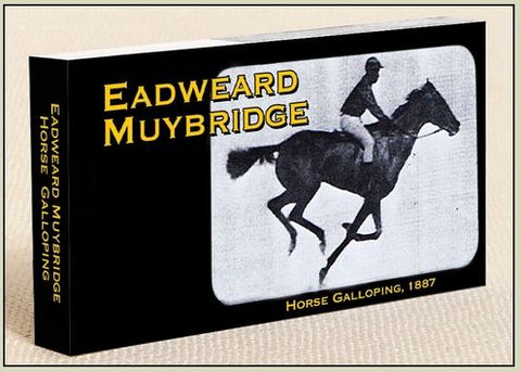 Muybridge Horse Flipbook