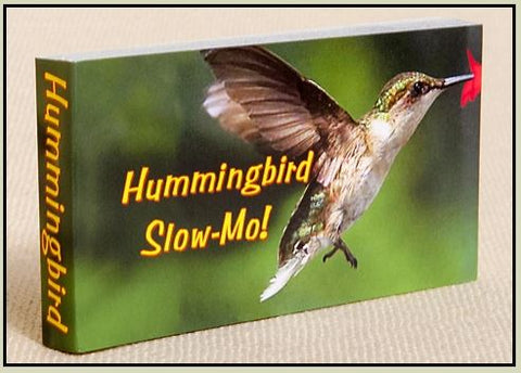 Hummingbird Flipbook