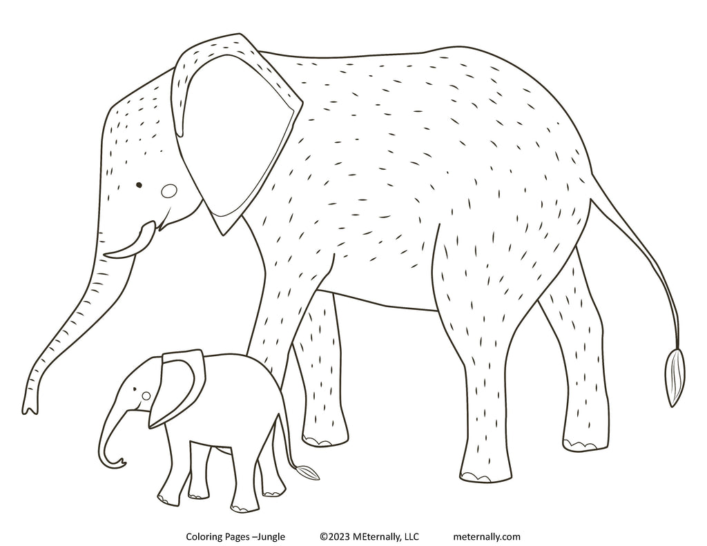 jungle drawings coloring pages