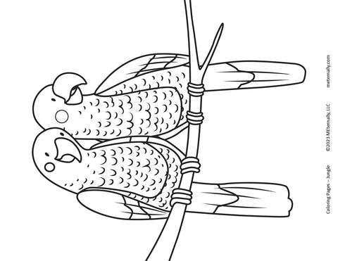 Coloring Pages - Jungle Pack