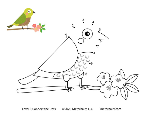 Level 1, 2 & 3 Connect the Dots Set