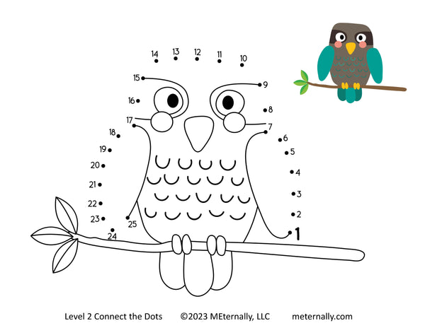 Level 1, 2 & 3 Connect the Dots Set