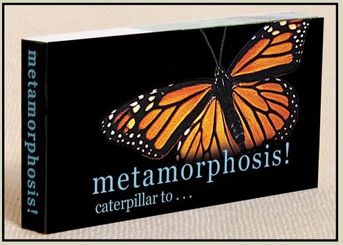 Metamorphosis Flipbook (Caterpillar to Butterfly)