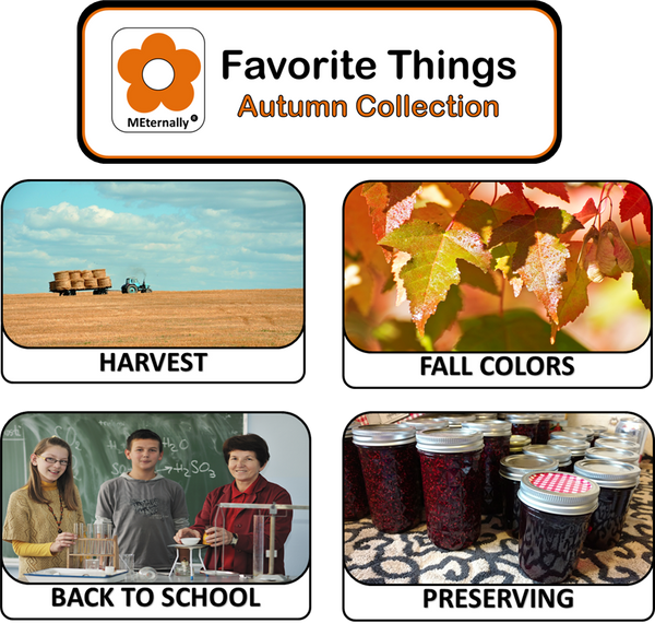 Reminiscence Therapy - Autumn Collection DVD and Photo/Activity Cards