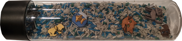 Memory Play - Cats Busy Bottle