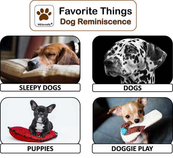 Library/Facility Zip Pack - Reminiscence Therapy - Dogs DVD & Photo/Activity Cards Kit
