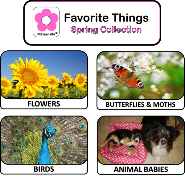 Library/Facility Zip Pack - Reminiscence Therapy - Spring DVD & Photo/Activity Cards Kit