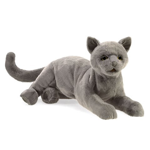 Library/Facility BACKPACK - Cats DVD & Photo/Activity Cards Kit with Purring Cat Puppet