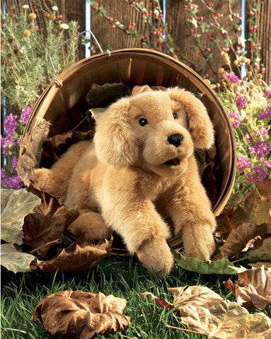 Golden Retriever Puppy (Full Size Puppet)
