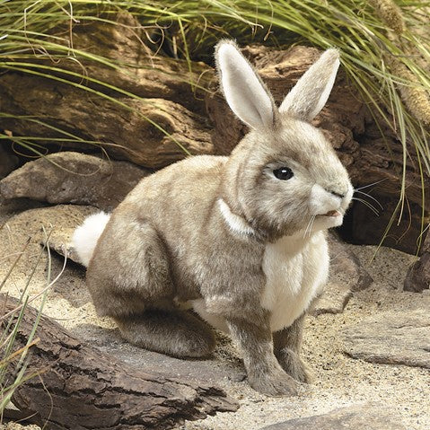 Cottontail Rabbit (Full Size Puppet)