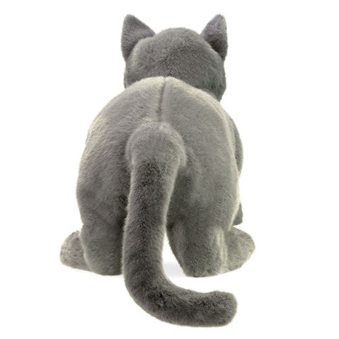 Library/Facility BACKPACK - Cats DVD & Photo/Activity Cards Kit with Purring Cat Puppet